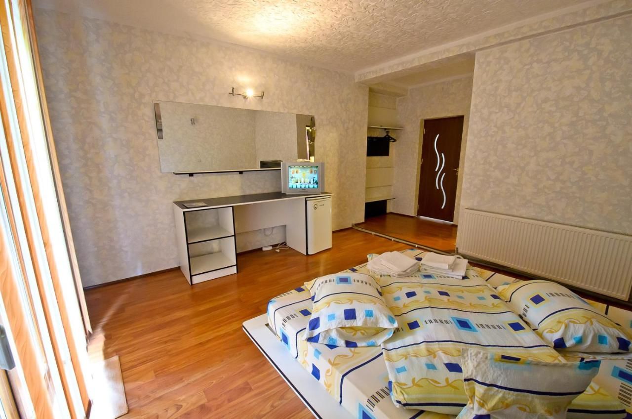 Гостевой дом Pension President Бэиле-Еркулане-26