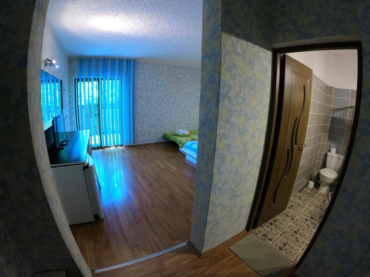 Гостевой дом Pension President Бэиле-Еркулане-33